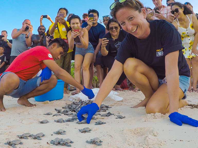 turtle hatchling release mabul turtle hatchery