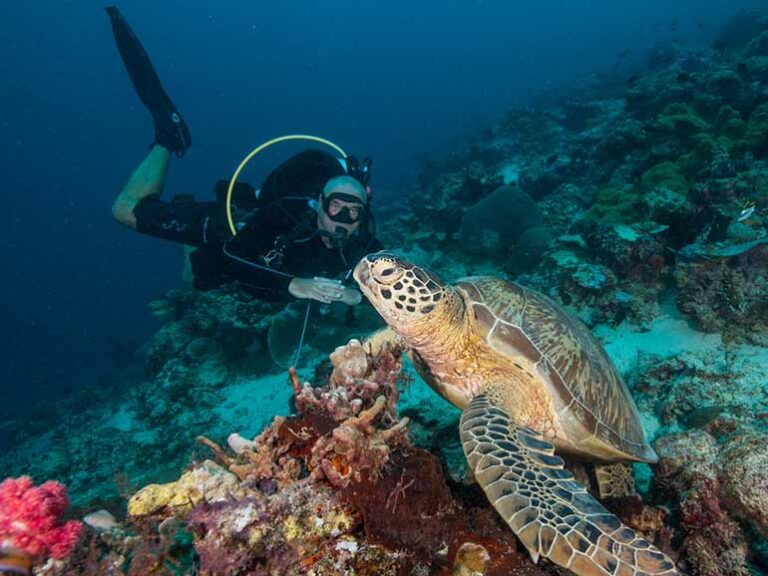 Discover Scuba Diving | Scuba Junkie Sipadan